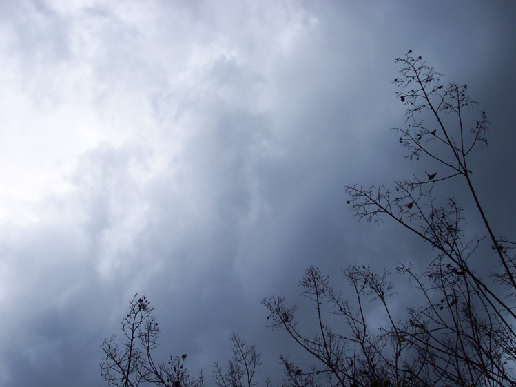 El invierno ¿la estación de la tristeza? El invierno ¿la estación de la tristeza?
