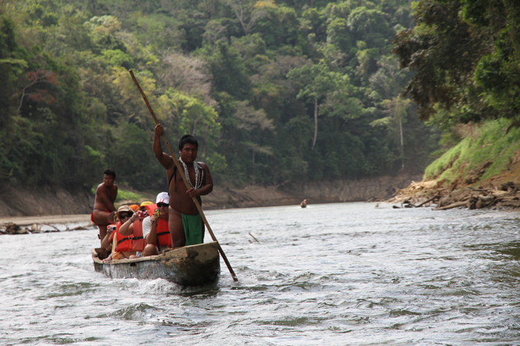 Conexión con la fuerza de la vida Conexión con la fuerza de la vida