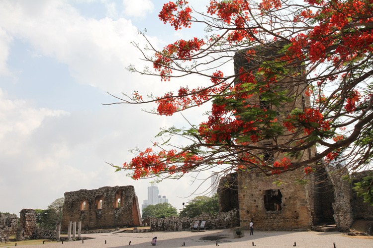 Conexión con la fuerza de la vida Conexión con la fuerza de la vida