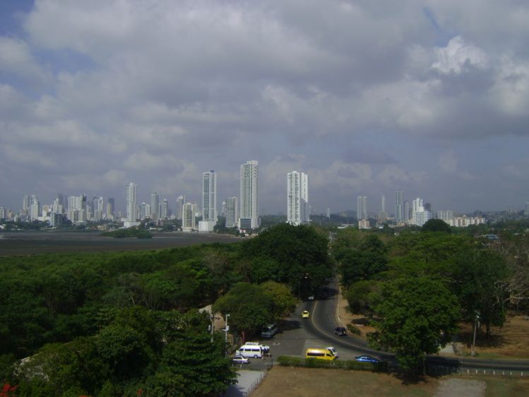 Conexión con la fuerza de la vida Conexión con la fuerza de la vida