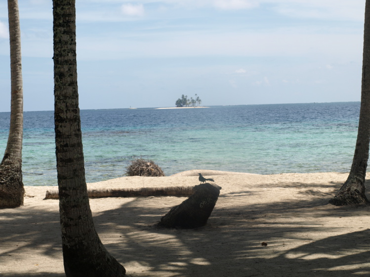 Conexión con la fuerza de la vida (II) Conexión con la fuerza de la vida (II)