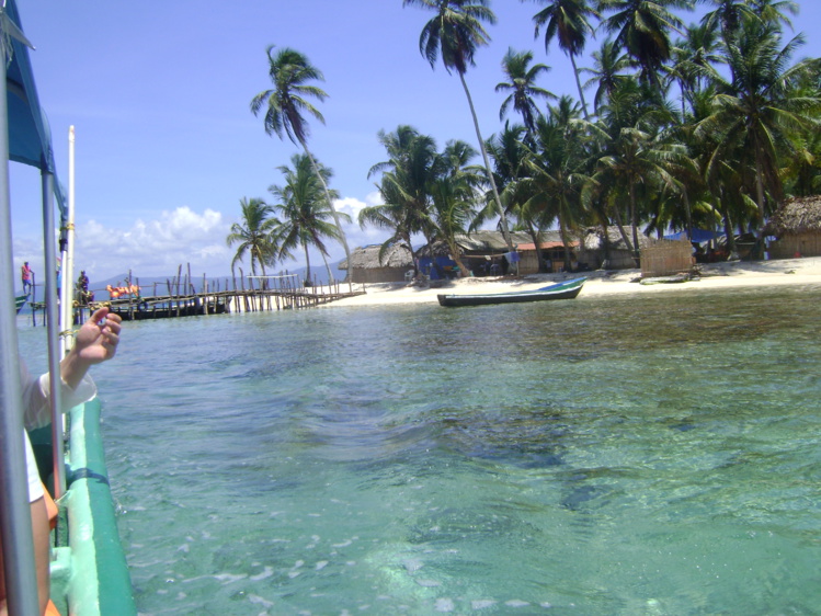 Conexión con la fuerza de la vida (II) Conexión con la fuerza de la vida (II)