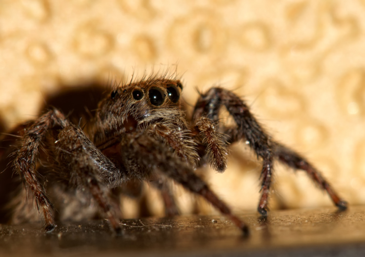 ¿De qué tienes miedo? ¿De qué tienes miedo?