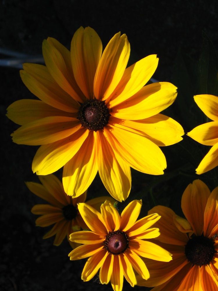 44 sugerencias 44 sugerencias