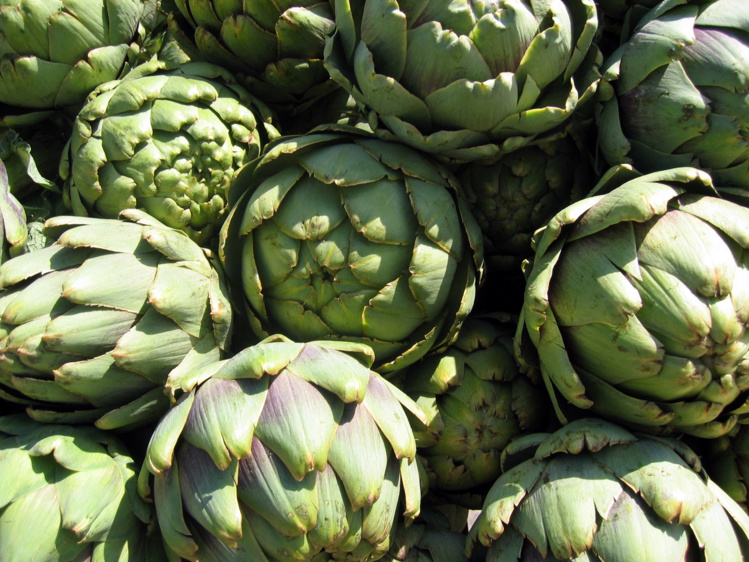 La alcachofa, un remedio para el hígado La alcachofa, un remedio para el hígado