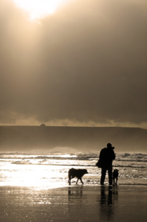 Los valores humanos: el sueño más real Los valores humanos: el sueño más real