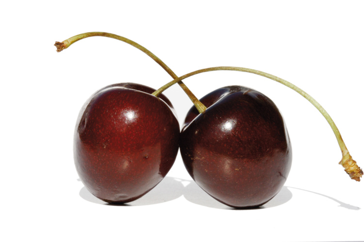 freeimages.com freeimages.com