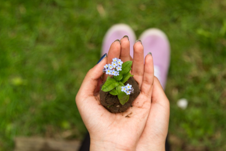 Photo by Tom Ezzatkhah on Unsplash