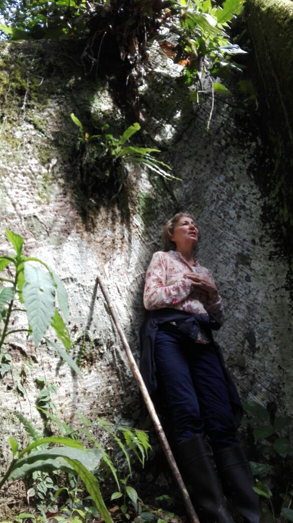 María del Carmen Nestares