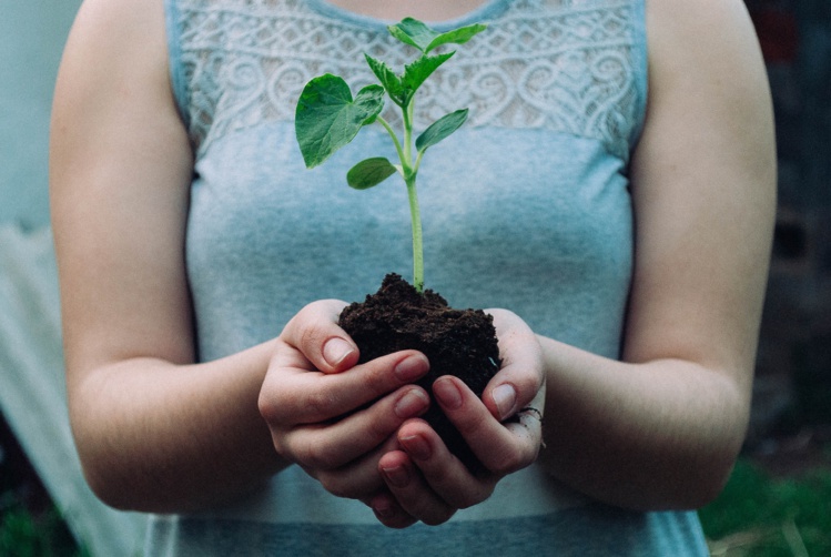 Photo by Nikola Jovanovic on Unsplash Photo by Nikola Jovanovic on Unsplash