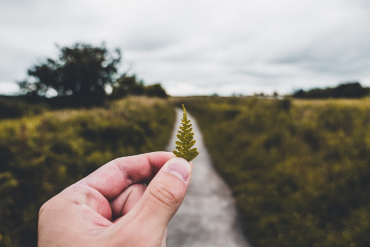 Photo by Luke Porter on Unsplash