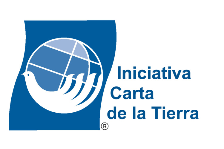 http://cartadelatierra.org/