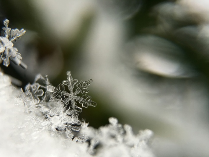 Photo by Aaron Burden on Unsplash