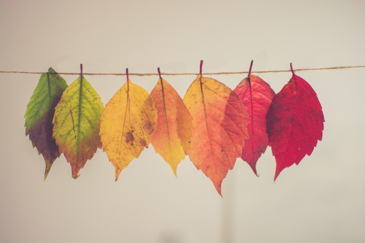 Foto de Chris Lawton en Unsplash.