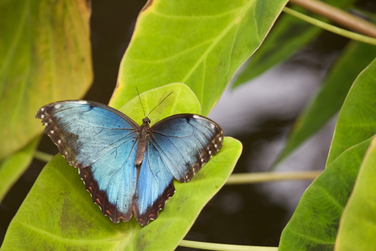 Foto de Ashley Rich en Unsplash