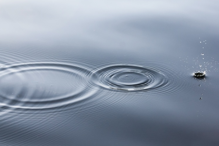 Foto de Linus Nylund en Unsplash.