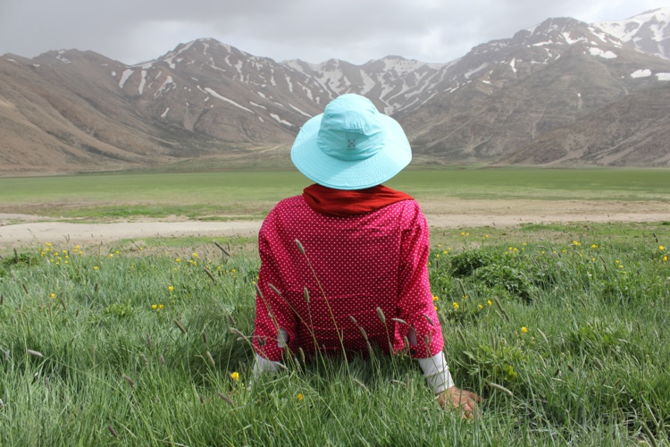 Photo by Mohammad Bagher Adib Behrooz on Unsplash