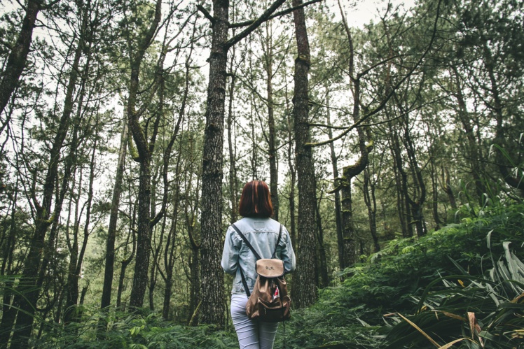 Photo by IB Wira Dyatmika on Unsplash