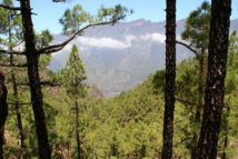 La Palma Mágica: Un viaje iniciático al corazón de La Palma a través de los cuatro elementos. Del 30 de noviembre al 7 de diciembre 2019 