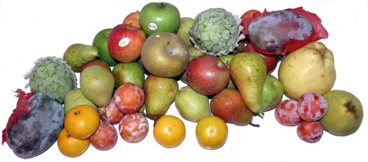 Fco.Salado Fco.Salado