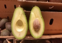 Las frutas y el ejercicio físico Las frutas y el ejercicio físico