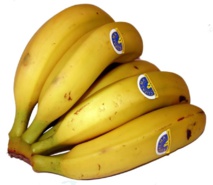 Foto: Fco.Salado Foto: Fco.Salado