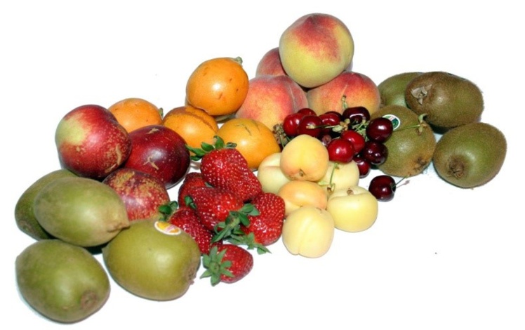 Foto: Fco.Salado Foto: Fco.Salado