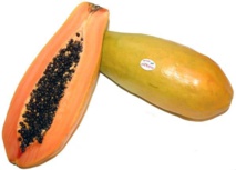 Foto: Fco.Salado Foto: Fco.Salado