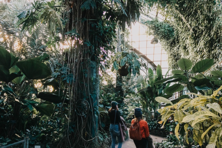 Photo by Kate Darmody on Unsplash