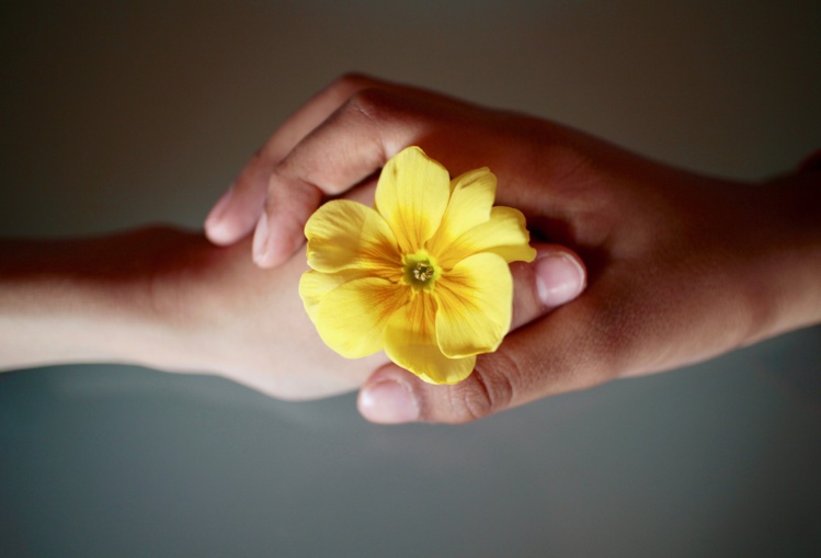 Imagen de Luisella Planeta Leoni en Pixabay