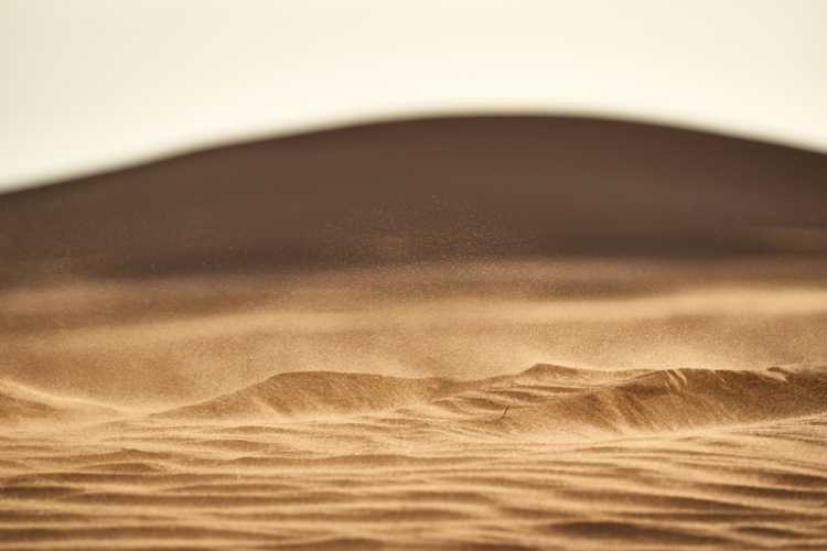 Photo by Wolfgang Hasselmann on Unsplash