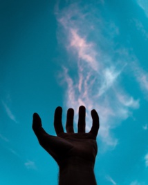 Photo by Shot by Cerqueira on Unsplash