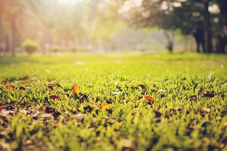 Photo by Anshu A on Unsplash
