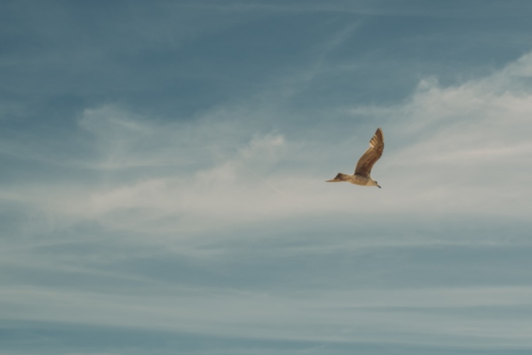 Photo by Federico Fioravanti on Unsplash