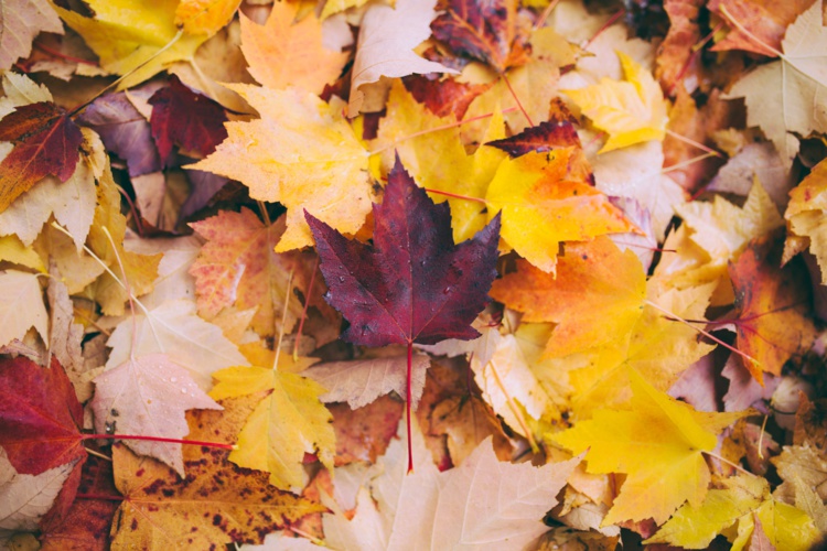 Photo by Greg Shield on Unsplash