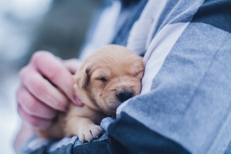 Photo by Lydia Torrey on Unsplash