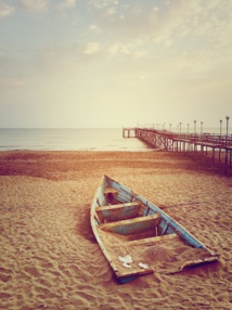 Photo by Fazel on Unsplash