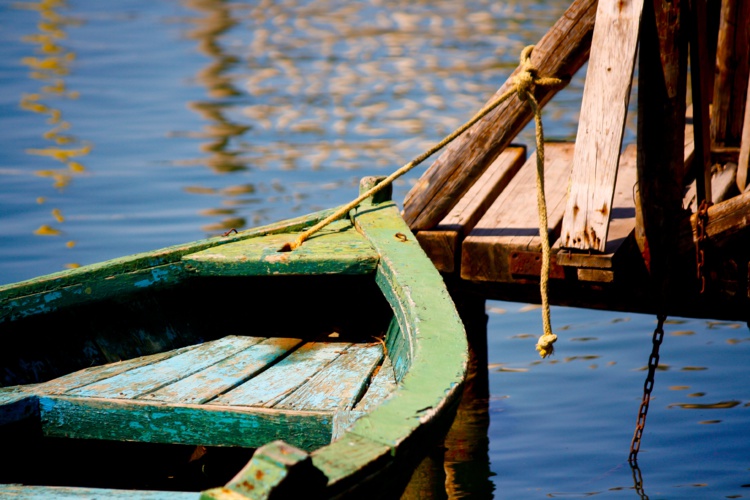 Photo by George Kourounis on Unsplash