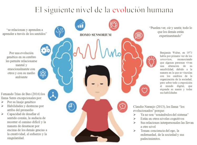 Imagen 4. Los sensoriales. El siguiente nivel de la evolución