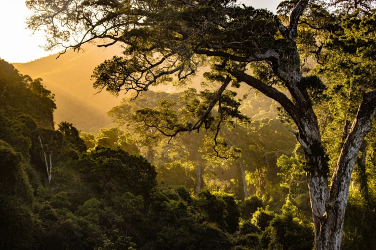 Photo by redcharlie on Unsplash
