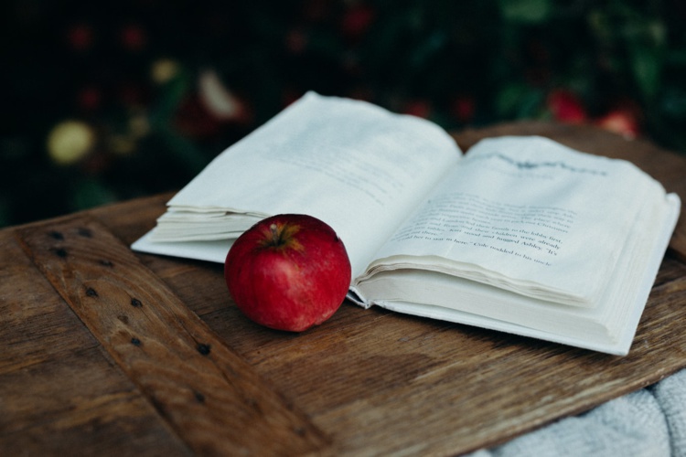 Photo by Liana Mikah on Unsplash