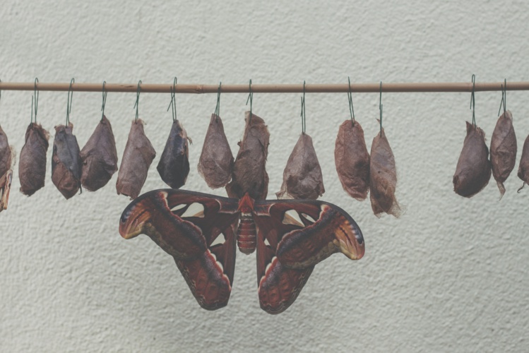 Photo by Gabriela Tamara Cycman on Unsplash