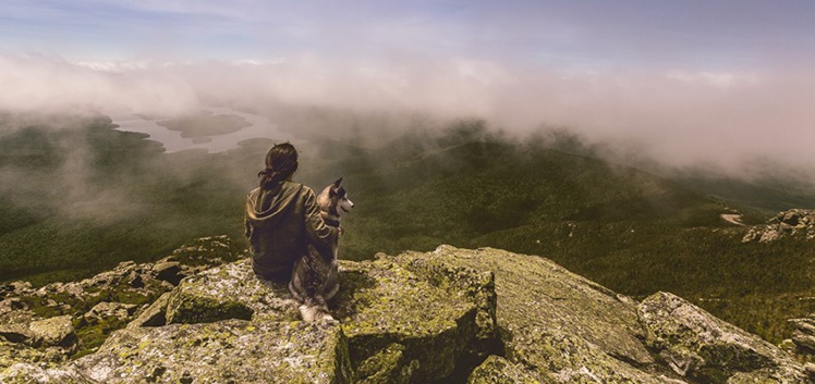 ¿Qué es la intuición? ¿Qué es la intuición?