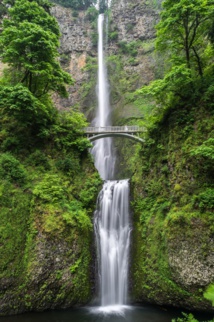 Photo by Blake Richard Verdoorn on Unsplash
