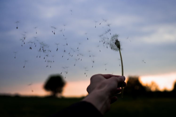 Photo by Oliver Hihn on Unsplash