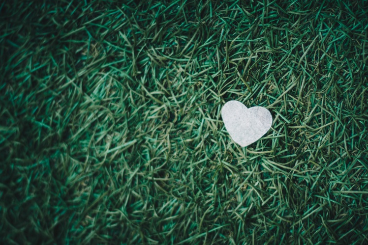 Photo by Isaac Benhesed on Unsplash