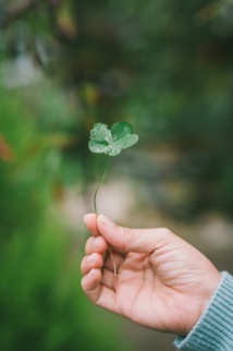 Photo by Harris Vo on Unsplash