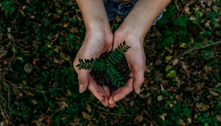 Photo by Noah Buscher on Unsplash Photo by Noah Buscher on Unsplash