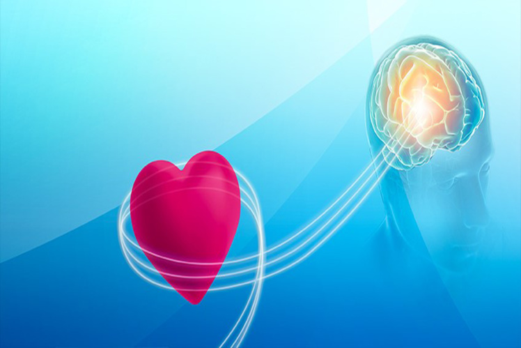 Activar la inteligencia superior del corazón Activar la inteligencia superior del corazón