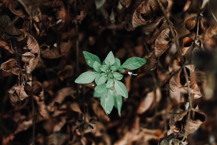 Photo by Luke Carliff on Unsplash